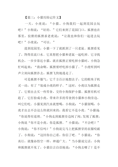 小猫历险记作文.docx