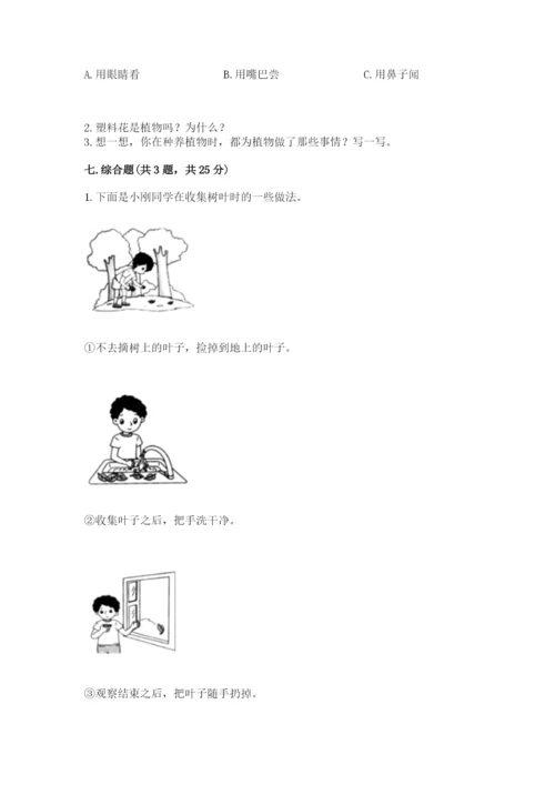 教科版科学一年级上册第一单元《植物》测试卷1套.docx
