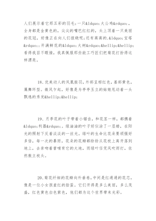 描写鲜花优美的句子.docx