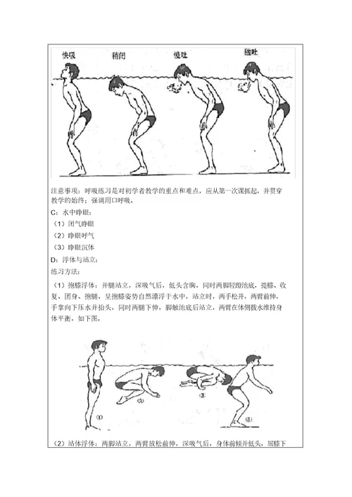 蛙泳教案(12次课) 8543