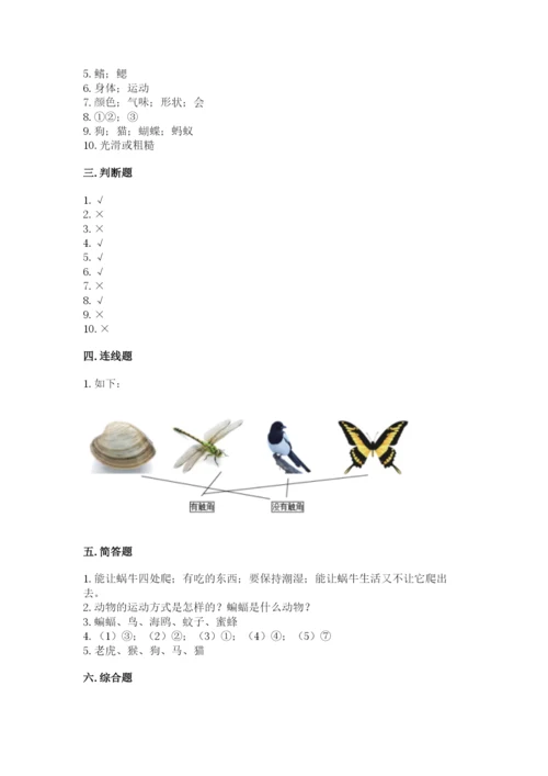 教科版一年级下册科学期末测试卷附完整答案（历年真题）.docx