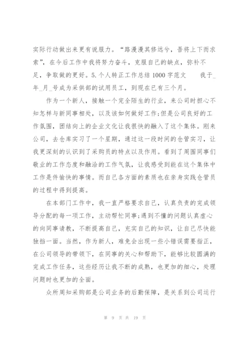 个人转正工作总结1000字范文10篇.docx