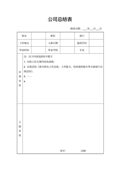 公司总结表