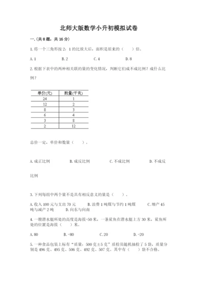 北师大版数学小升初模拟试卷审定版.docx