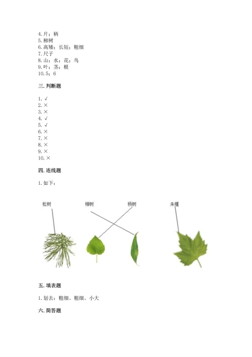 教科版小学一年级上册科学期末测试卷（考试直接用）word版.docx