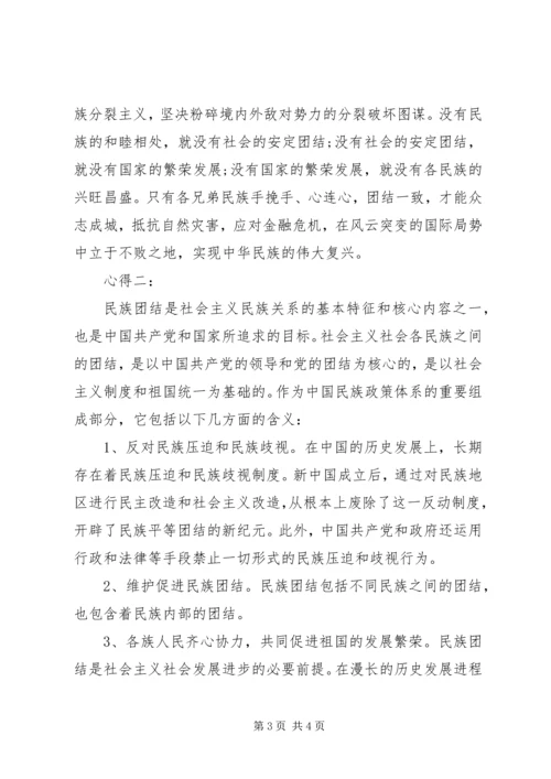 学习民族团结心得体会 (5).docx