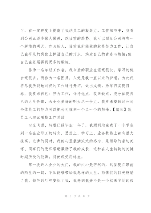 新员工入职试用期工作总结.docx