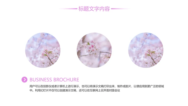唯美粉红樱花节赏樱花旅游PPT模板