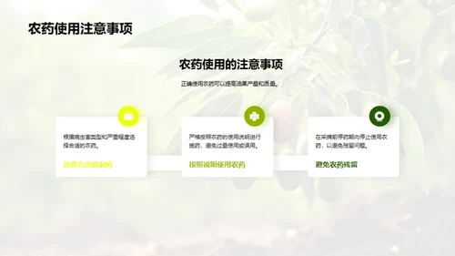 油果种植之全方位解析