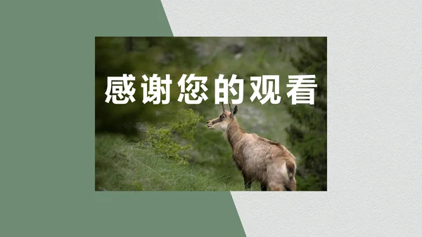 绿色个人作品集PPT模板