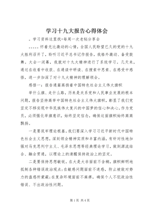 学习十九大报告心得体会 (2).docx