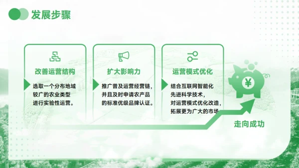 美丽乡村产业振兴村庄项目创业报告通用PPT模板