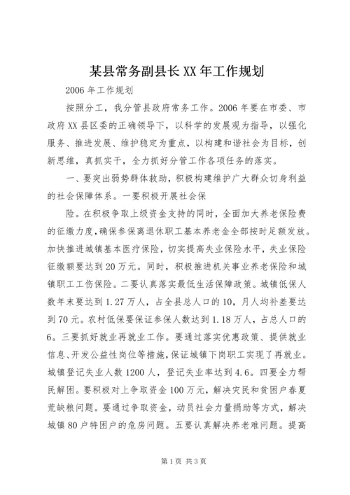 某县常务副县长XX年工作规划 (2).docx