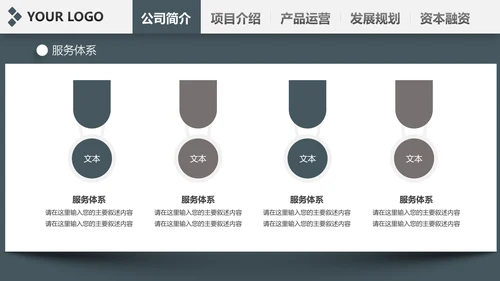 稳重内容详细简约大气商业计划书ppt模板