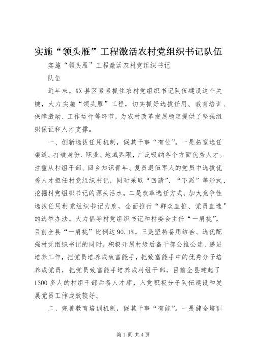 实施“领头雁”工程激活农村党组织书记队伍.docx