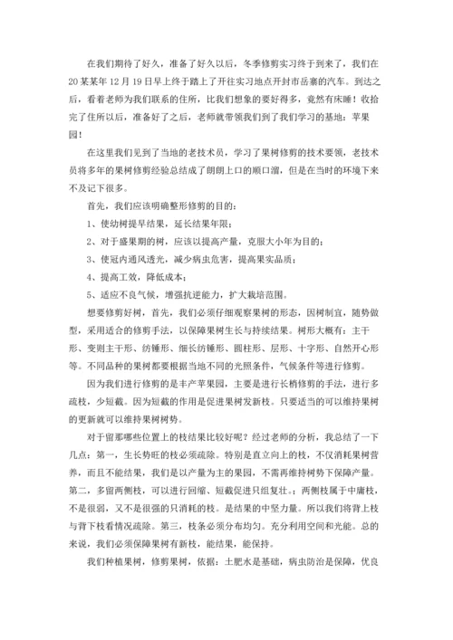 冬季实习报告.docx