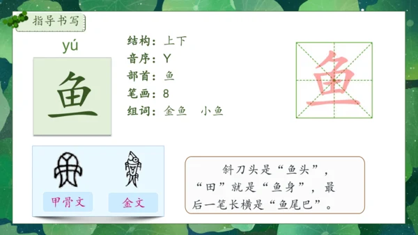 【核心素养】部编版语文一年级下册-12. 荷叶圆圆 第1课时（课件）