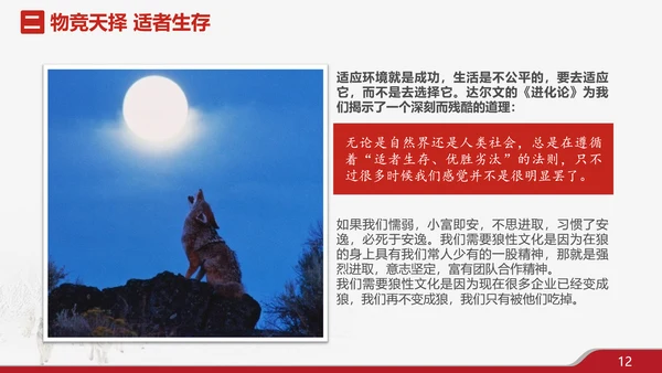 狼性文化企业培训PPT模板
