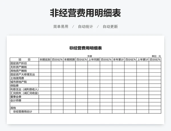 非经营费用明细表