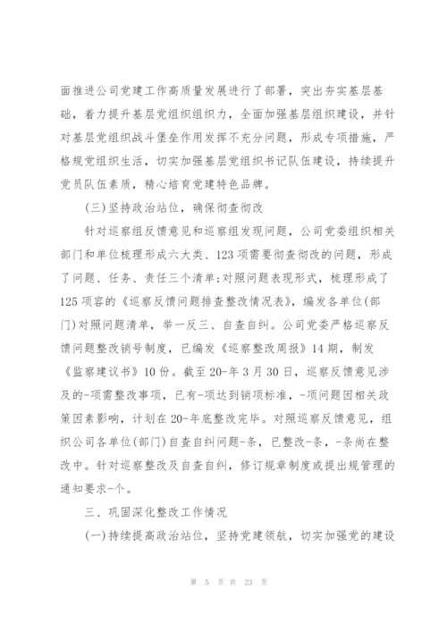 巡察整改工作主要负责人组织落实情况报告.docx