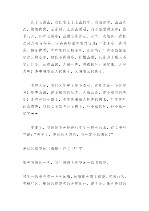 美丽的长白山天池作文550字.docx