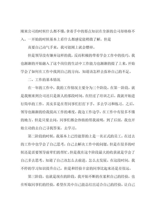公司财务个人工作总结范文(精选11篇)