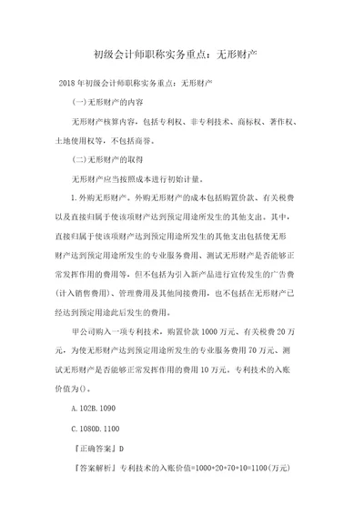 初级会计师职称实务重点无形资产doc