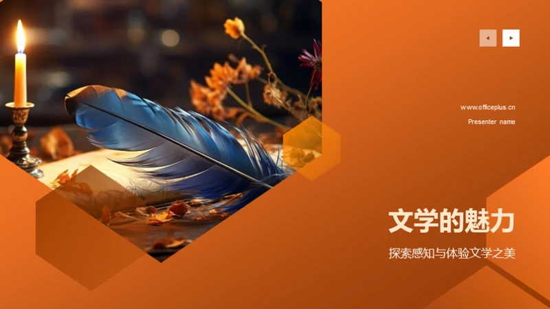 文学的魅力