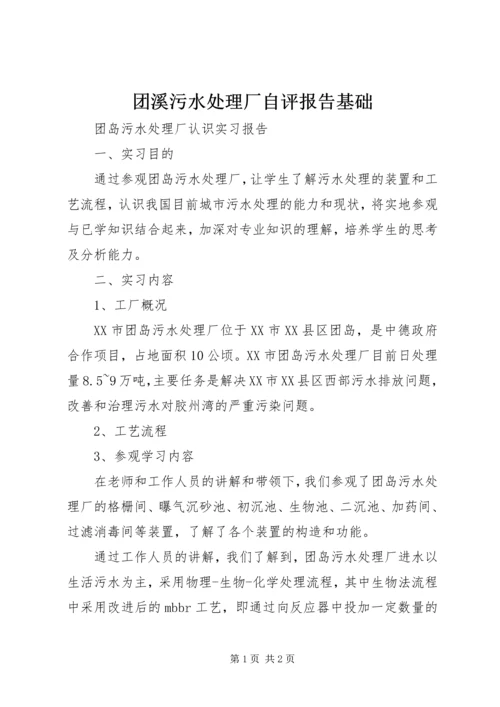 团溪污水处理厂自评报告基础.docx