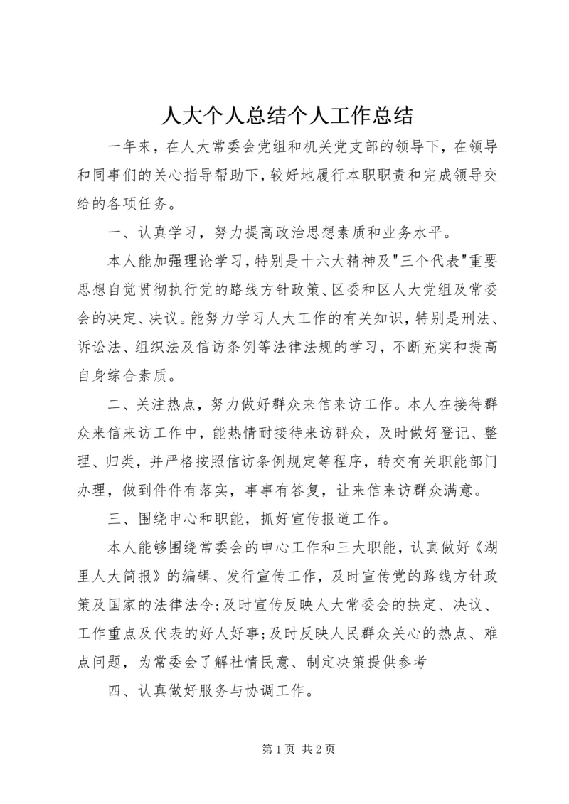 人大个人总结个人工作总结.docx