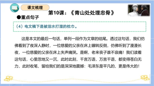 统编版五年级语文下册同步高效课堂系列第四单元（复习课件）