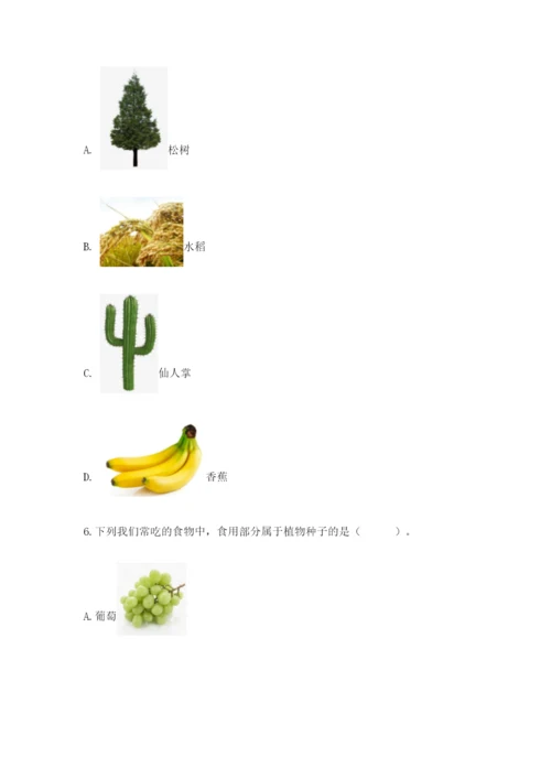 科学四年级下册第一单元《植物的生长变化》测试卷有答案.docx