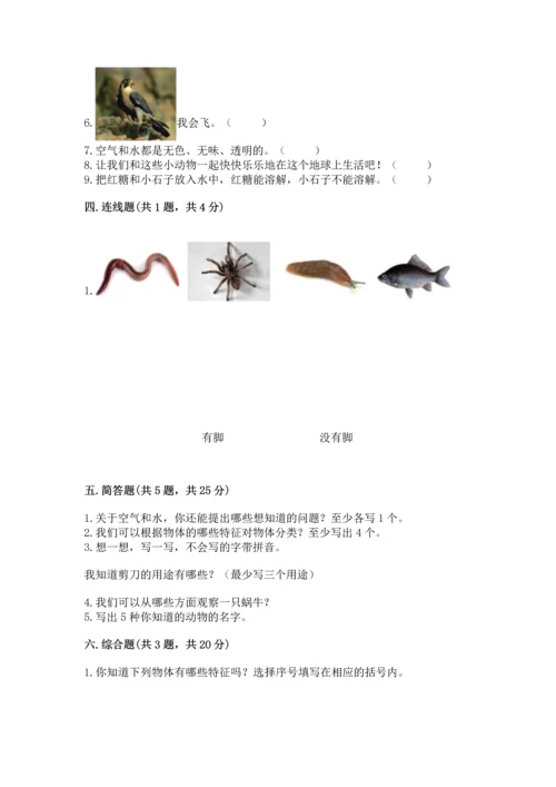 教科版一年级下册科学期末测试卷含完整答案【易错题】.docx