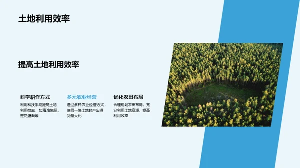 绿色农业新篇章