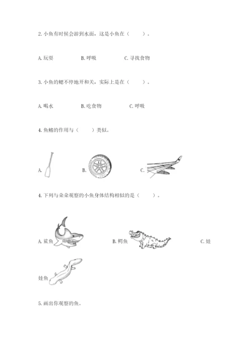 教科版小学科学一年级下册期末测试卷精品【有一套】.docx