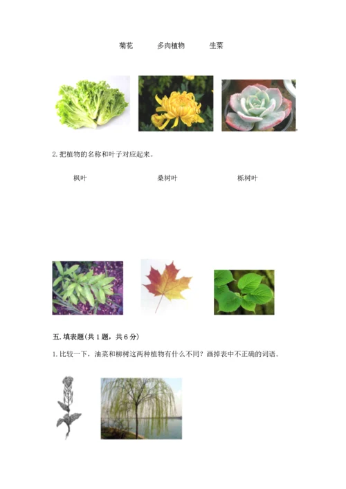 教科版科学一年级上册第一单元《植物》测试卷精品【各地真题】.docx