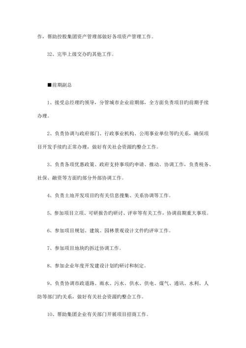 独立项目公司岗位设置及岗位职责.docx