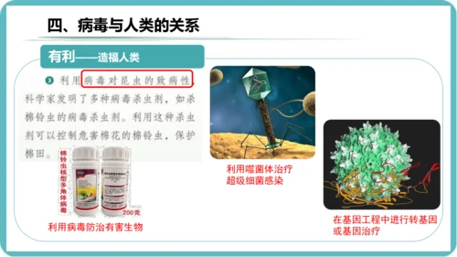 人教版生物七年级上册2.3.4《病毒》课件(共19张PPT)+视频素材