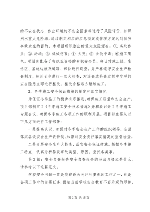 安全自查报告（推荐7篇） (2).docx