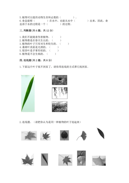 教科版科学一年级上册第一单元《植物》测试卷精品【精选题】.docx