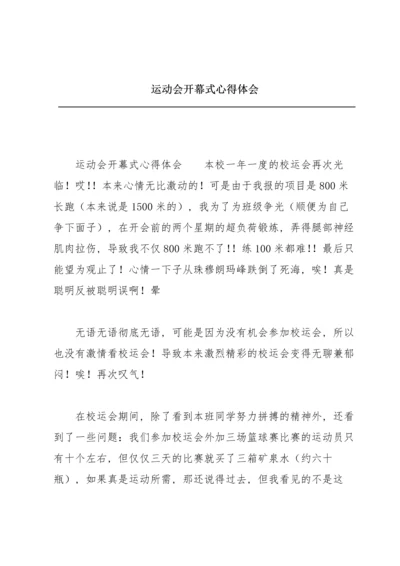运动会开幕式心得体会.docx