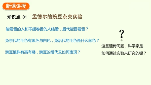 7.2.3基因的显性和隐性-八年级生物人教版下学期同步精品课件(共36张PPT)