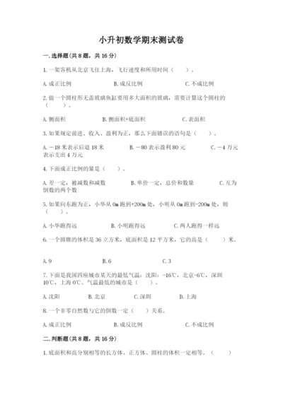 小升初数学期末测试卷及完整答案（各地真题）.docx