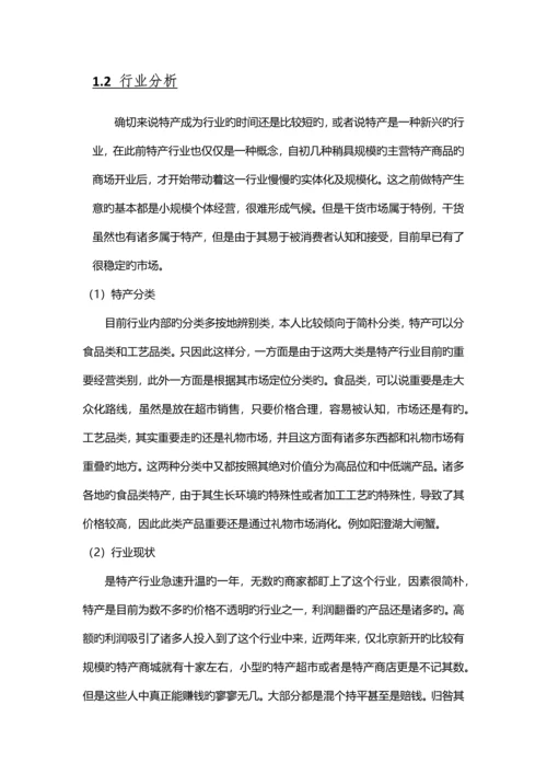 电子商务平台拓展重点规划专题方案.docx