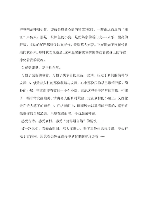 遇见最美古诗词作文优秀