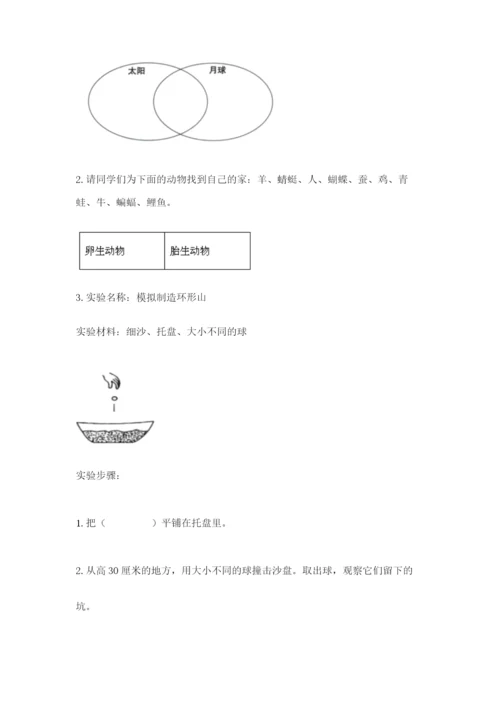 教科版科学三年级下册期末测试卷带答案（满分必刷）.docx