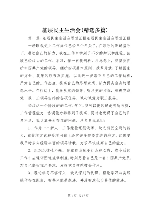 基层民主生活会(精选多篇).docx