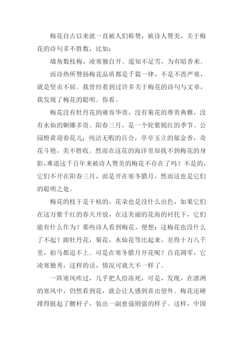 梅花的作文0.docx