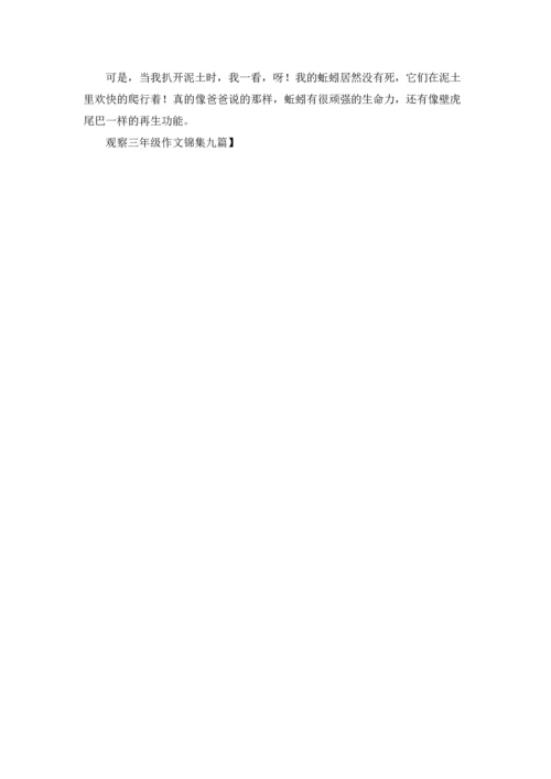 观察三年级作文锦集九篇.docx