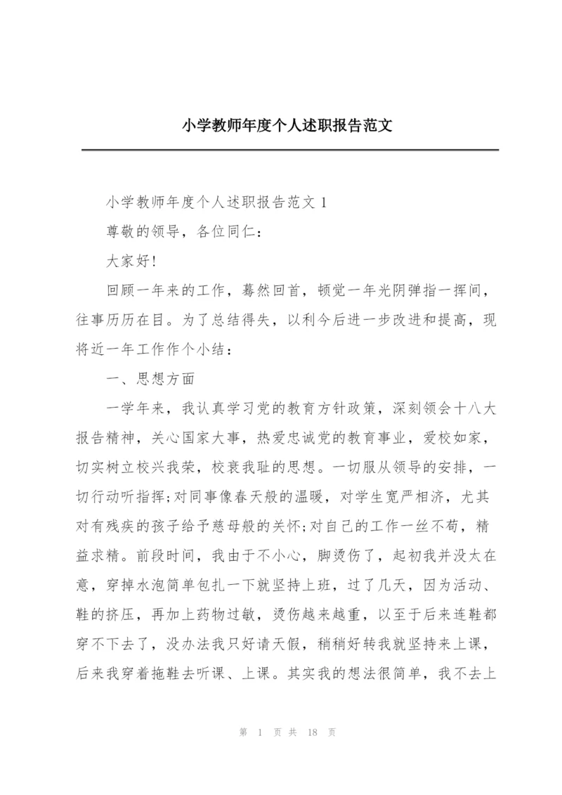 小学教师年度个人述职报告范文.docx